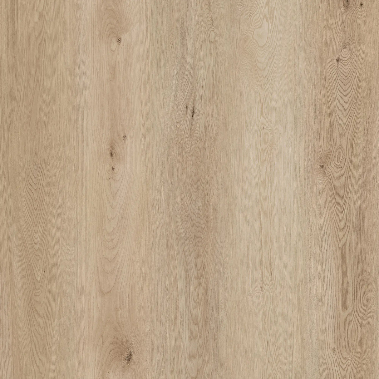 Battiscopa SPC Sogega Genius Wood