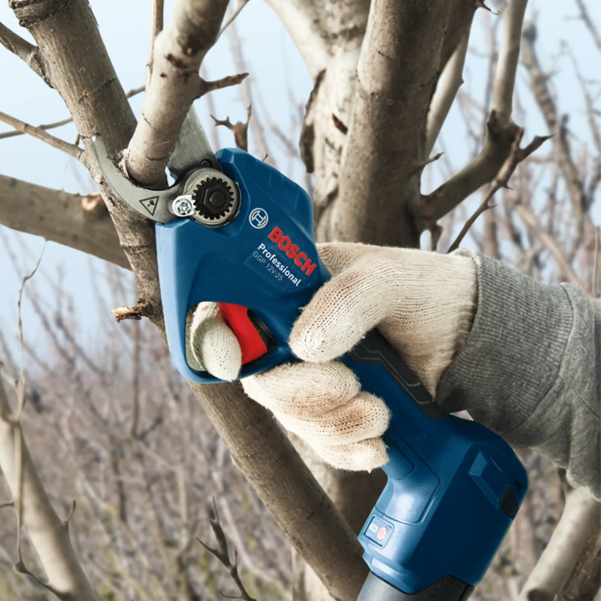 Forbici per Potatura Bosch GGP 12V-25 3Ah