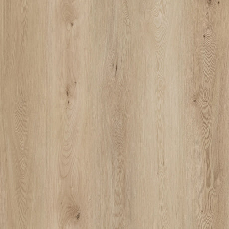 Battiscopa SPC Sogega Genius Wood